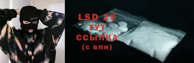 mdpv Новодвинск